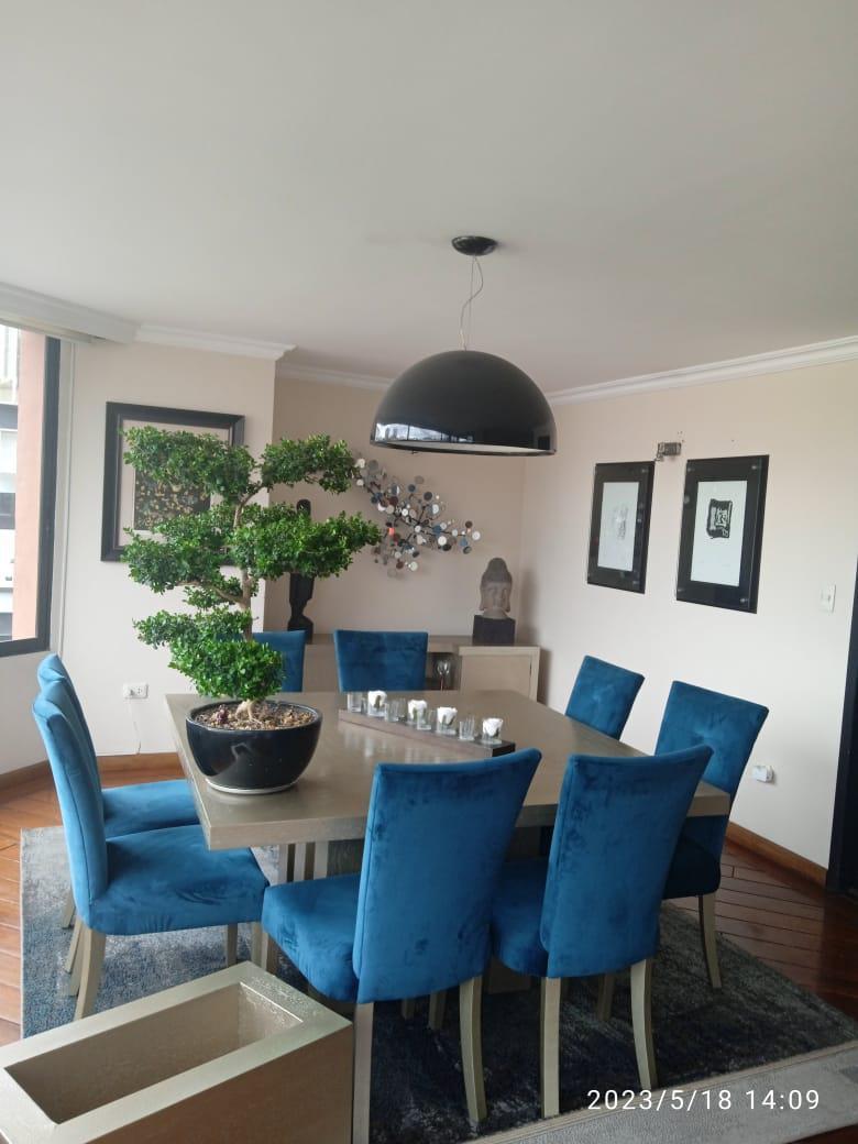 Departamento de Venta en Portugal y 6 de Diciembre — imagen 9