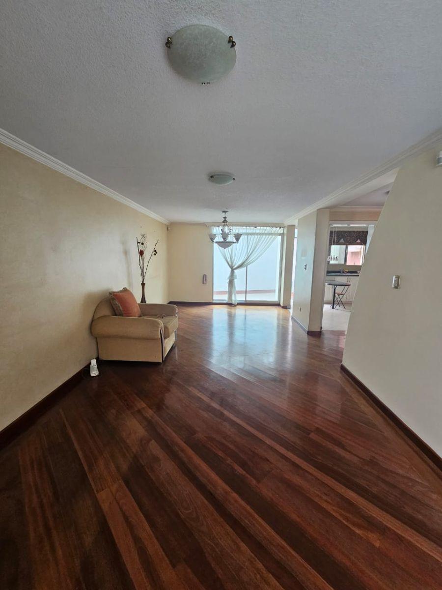 Venta Casa Norte de Quito Tres Dorm. y Estudio Dos Parqueaderos 200 m Terraza Pergola — imagen 10