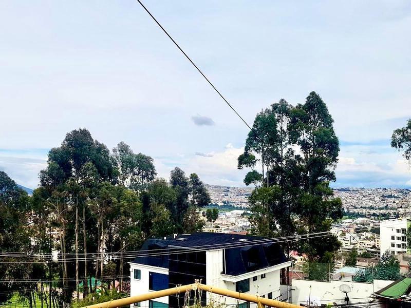 En Venta Edificio Rentero de 6 Pisos en El Sector del Bosque — imagen 3