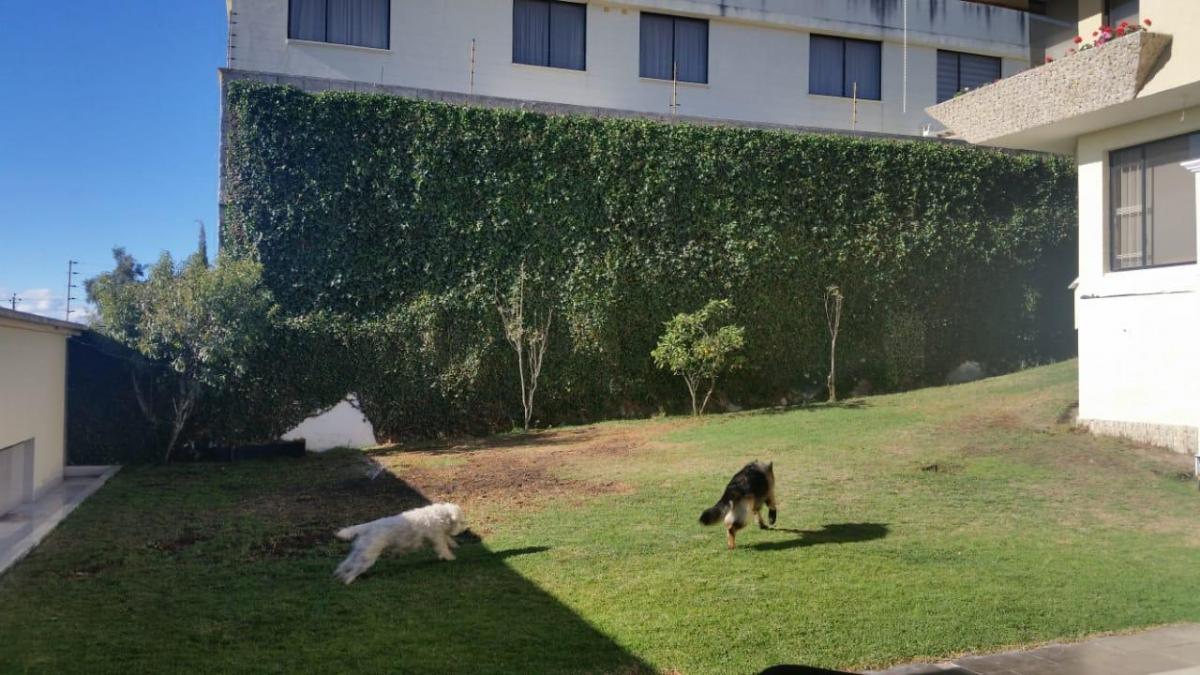 Hermosa Casa de Venta Independiente Urb. Mastodontes Norte de Quito — imagen 7