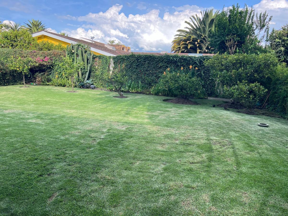 Cumbaya Casa de Venta o Alquiler en Urbanizacion Privada Sector Reservorio — imagen 7