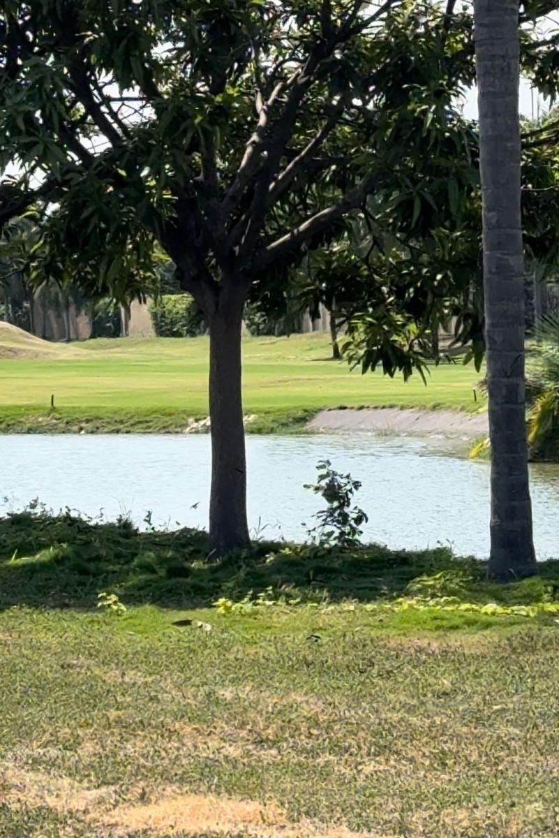 Doma Nuevo Proyecto en Mocoli Golf 651.58 m Terreno Const 458,36, Guayas — imagen 9