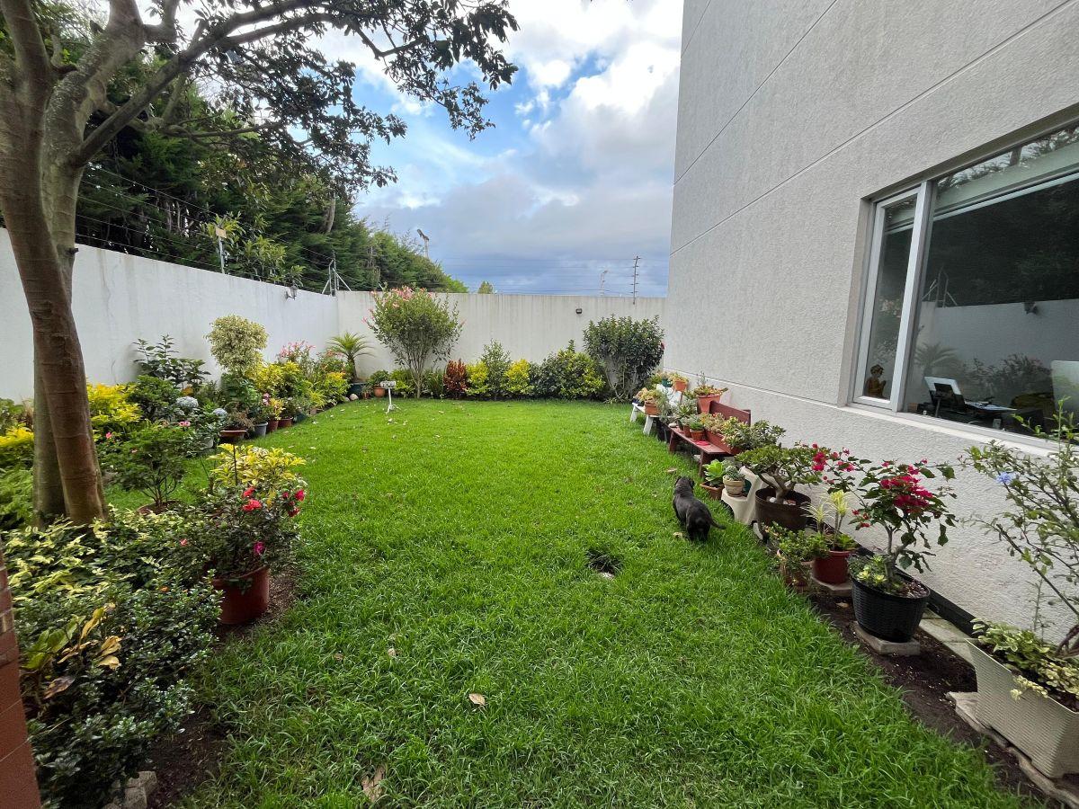 Departamento 254 m² Piso 1 Patio Ascensor en Tumbaco — imagen 5