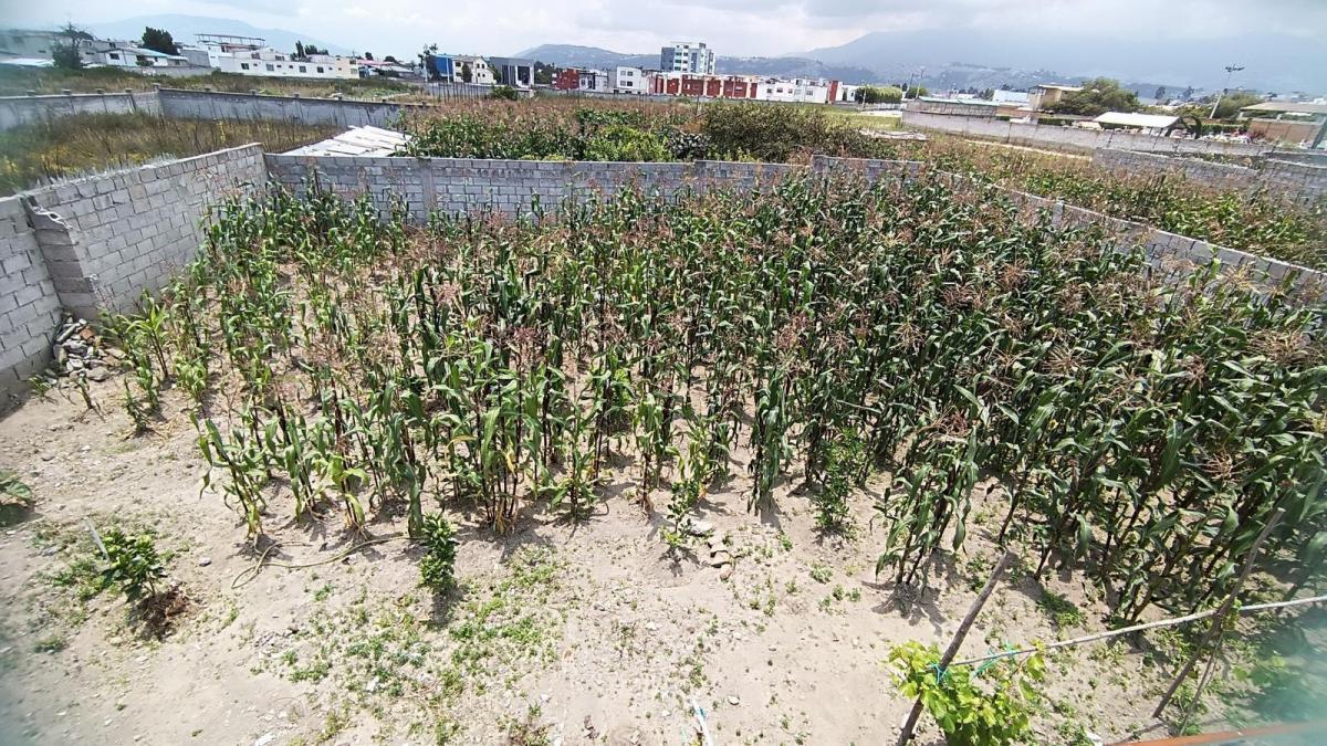 Calderón - Marianitas, Casa de 75 m² con Terreno de 510 m² — imagen 10