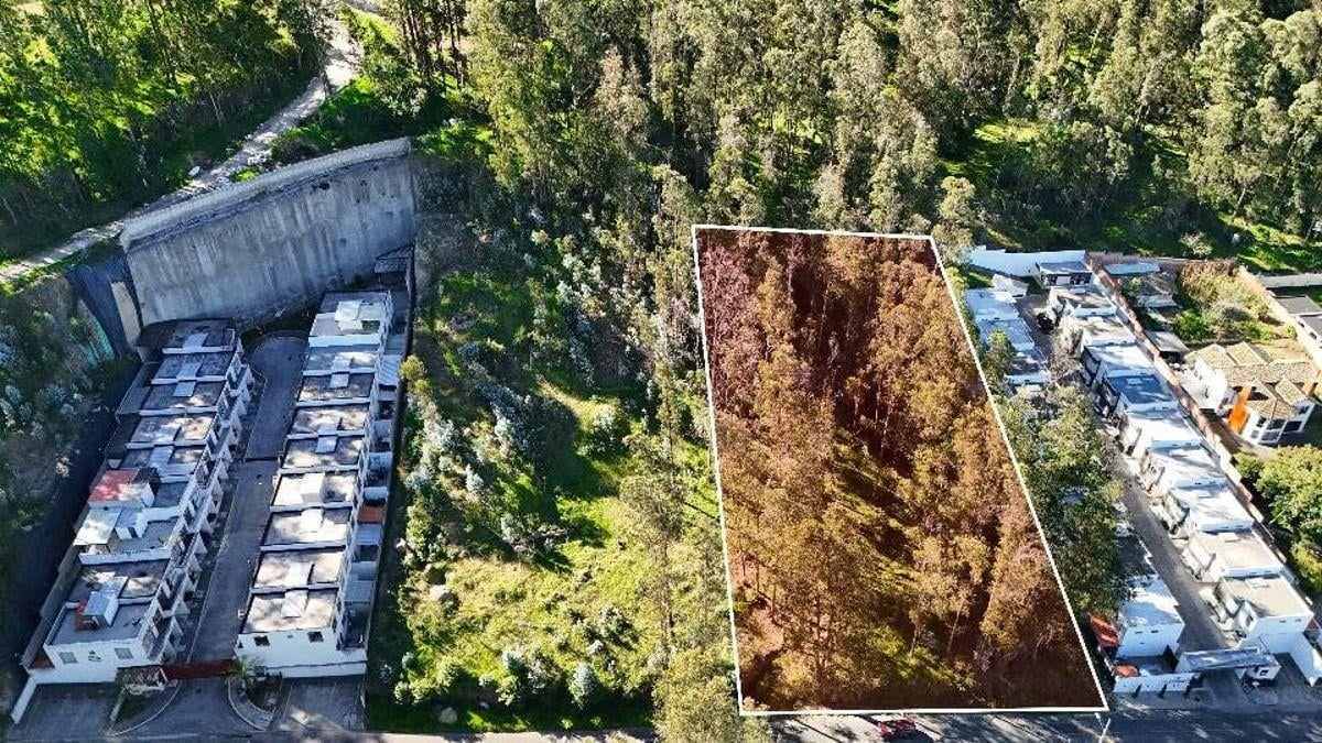 Terreno en Venta 2502 m² – Sector La Armenia (Sebastián de Benalcázar) — imagen 10