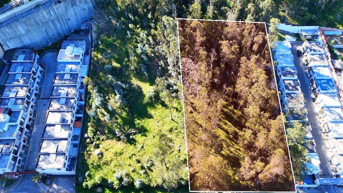 Terreno en Venta 2502 m² – Sector La Armenia (Sebastián de Benalcázar) — imagen 9
