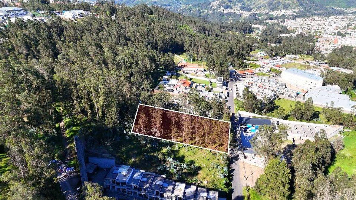 Terreno en Venta 2502 m² – Sector La Armenia (Sebastián de Benalcázar) — imagen 8