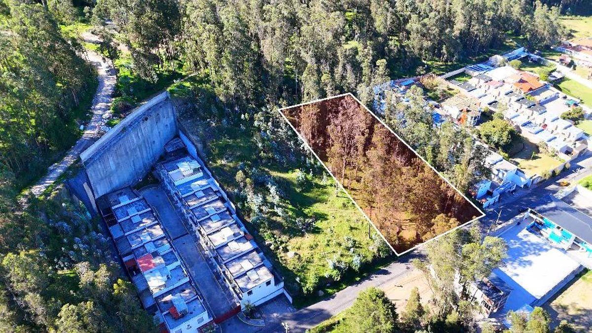Terreno en Venta 2502 m² – Sector La Armenia (Sebastián de Benalcázar) — imagen 7