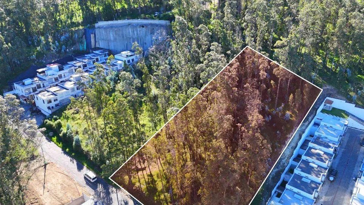 Terreno en Venta 2502 m² – Sector La Armenia (Sebastián de Benalcázar) — imagen 6