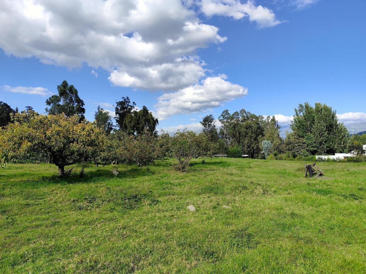 Terreno en Renta en San Francisco de Pinsha, 4.000 m², Ideal Para Turismo, Eventos y Gastronomía — imagen 8