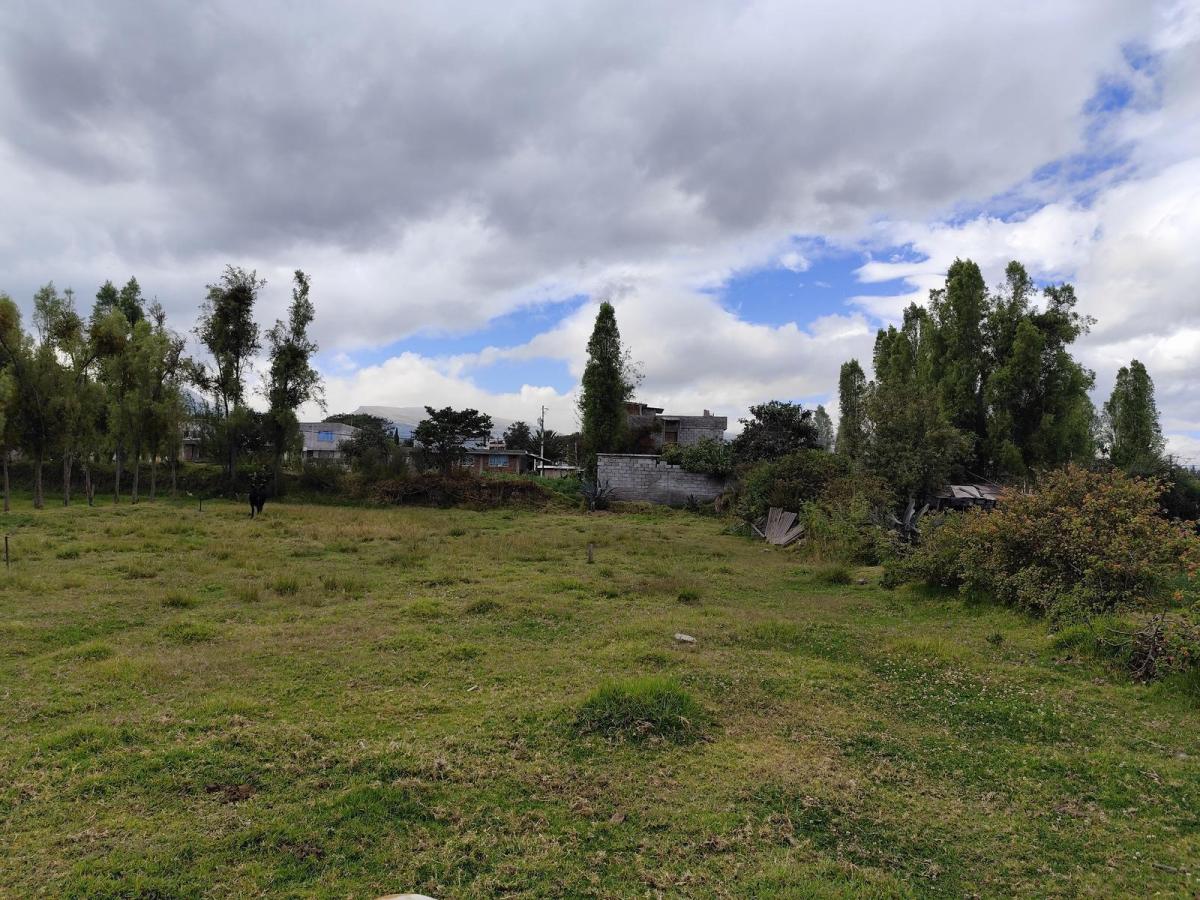 Terreno en Renta en Tumbaco, Ideal Para Guardería Canina, Logística o Club Deportivo. Sin Cerramiento — imagen 5