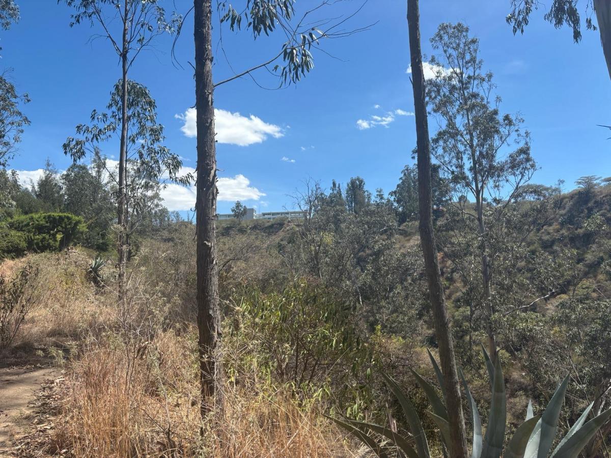 Terreno en Venta en Nayón – San Francisco de Tanda con Hermosa Vista — imagen 9