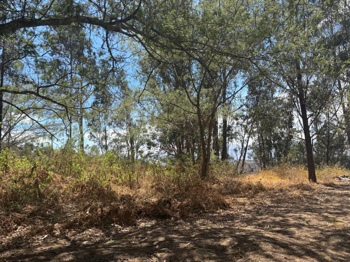 Terreno en Venta en Nayón – San Francisco de Tanda con Hermosa Vista — imagen 6