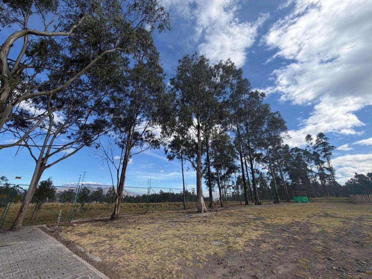 Vendo Propiedad, Moderna Casa con Terreno de 4000 m² Sector El Inga Pifo — imagen 9