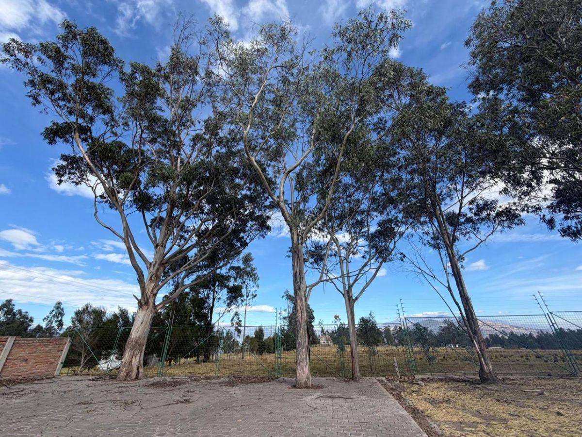 Vendo Propiedad, Moderna Casa con Terreno de 4000 m² Sector El Inga Pifo — imagen 8