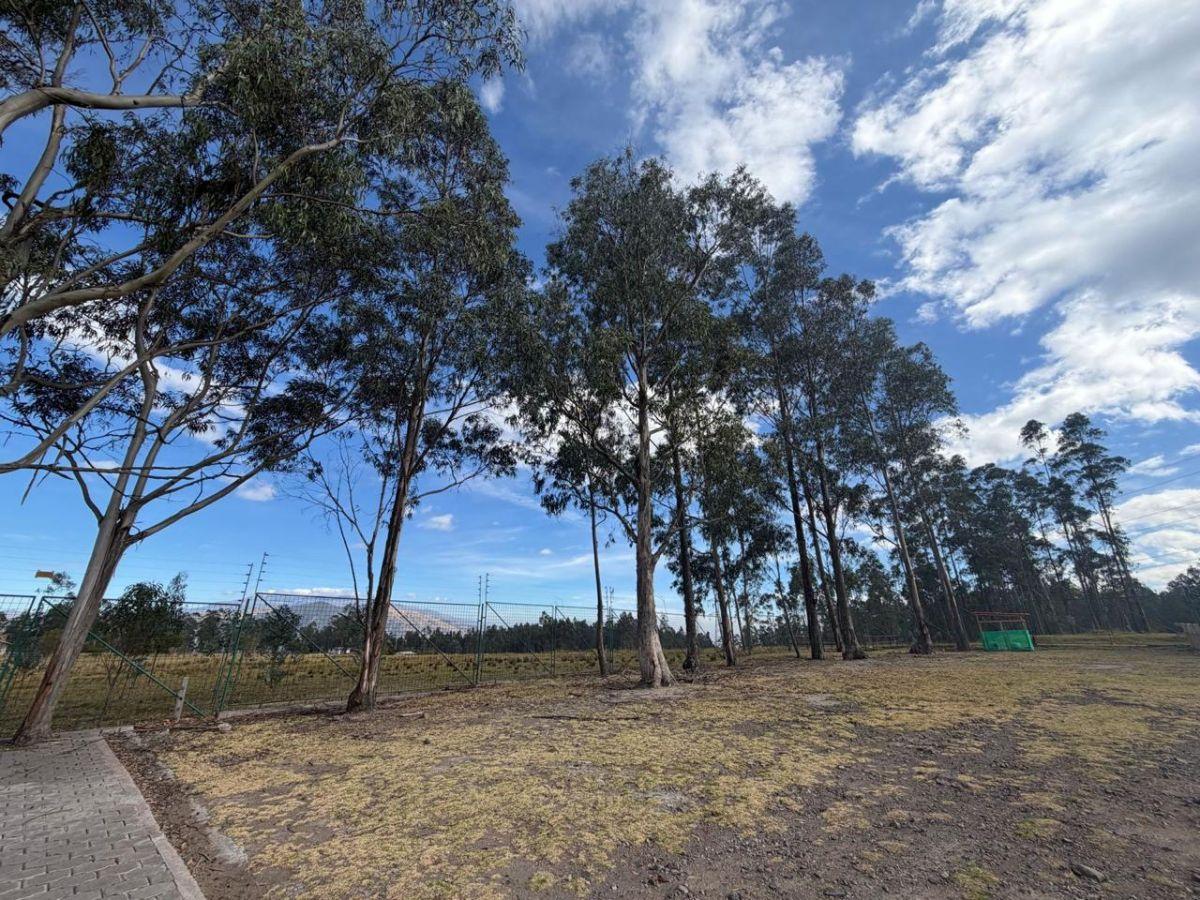 Vendo Propiedad, Moderna Casa con Terreno de 4000 m² Sector El Inga Pifo — imagen 7
