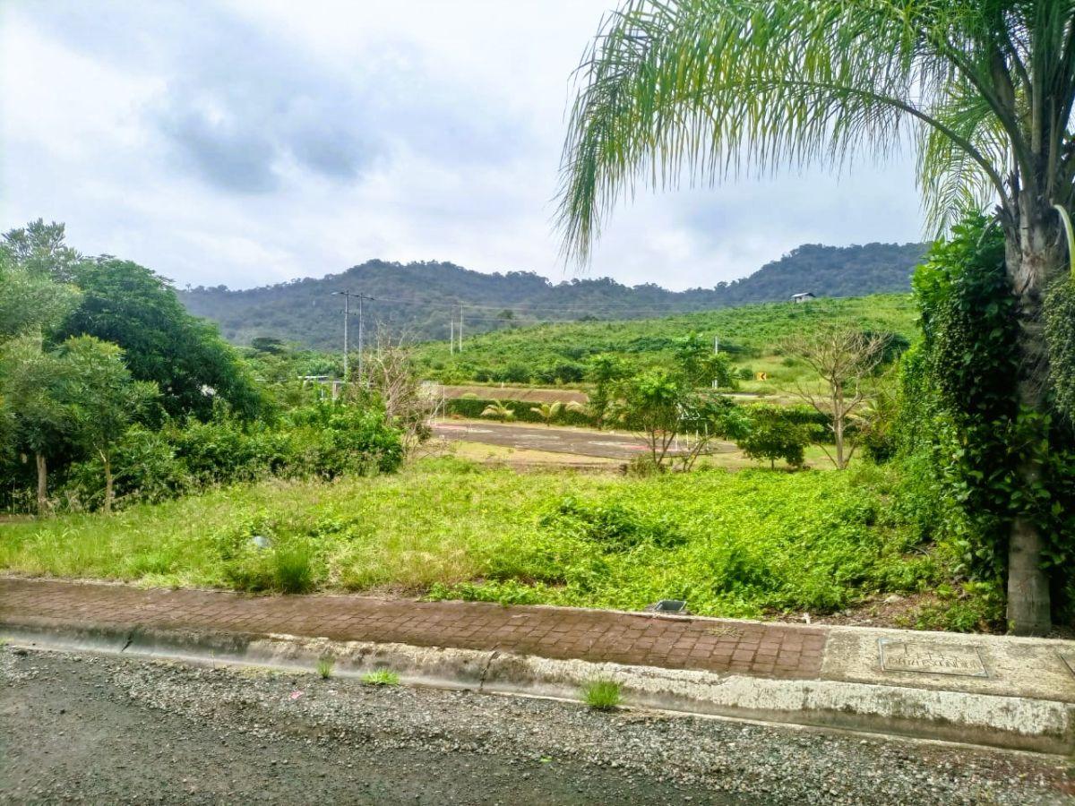 Terreno en Venta Urbanización Playa Escondida Jama Manabí, Manabí — imagen 7