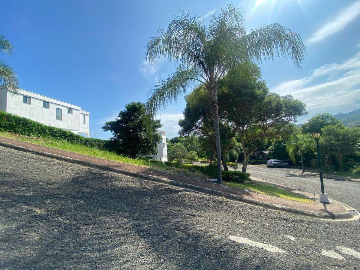 Terreno en Venta Urbanización Playa Escondida Jama Manabí, Manabí — imagen 6