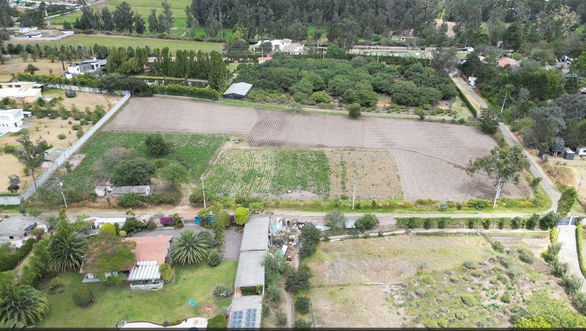 Se Vende Terreno Esquinero en San José de Puembo — imagen 6
