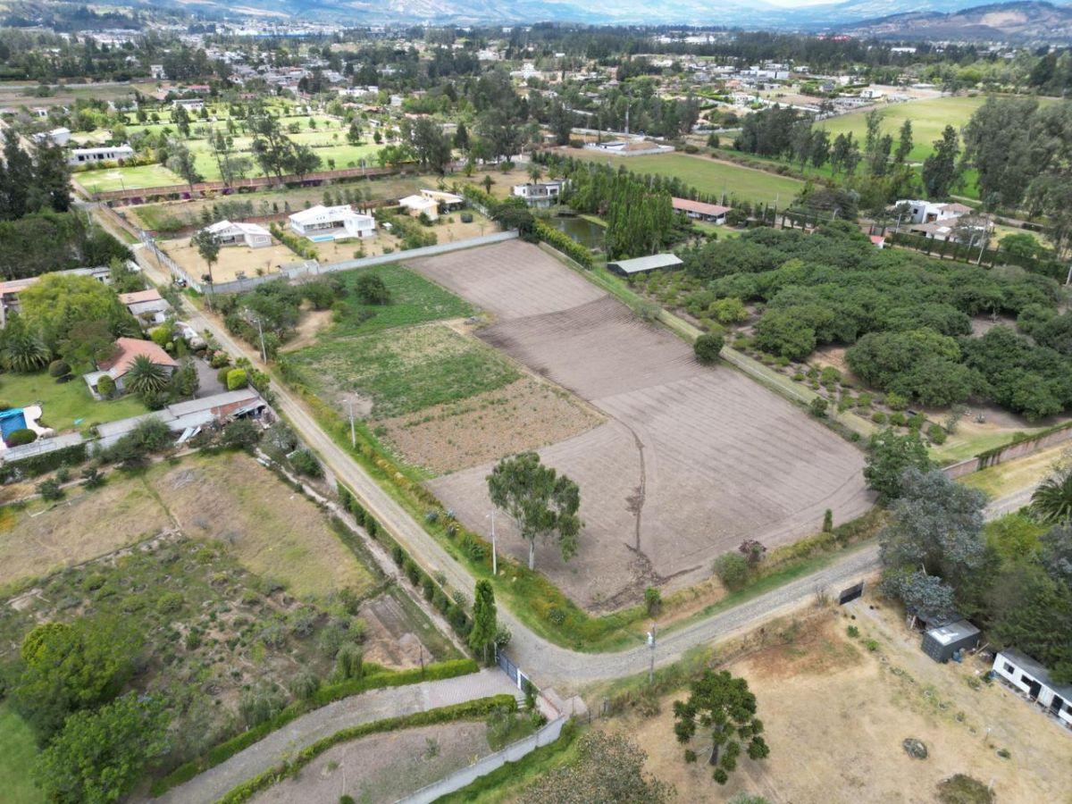 Se Vende Terreno Esquinero en San José de Puembo — imagen 3