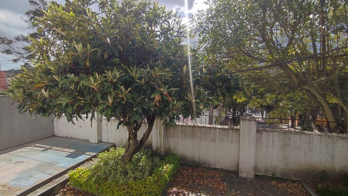 Venta Casa - La Floresta (Diagonal Al Cine Ocho y Medio) — imagen 8