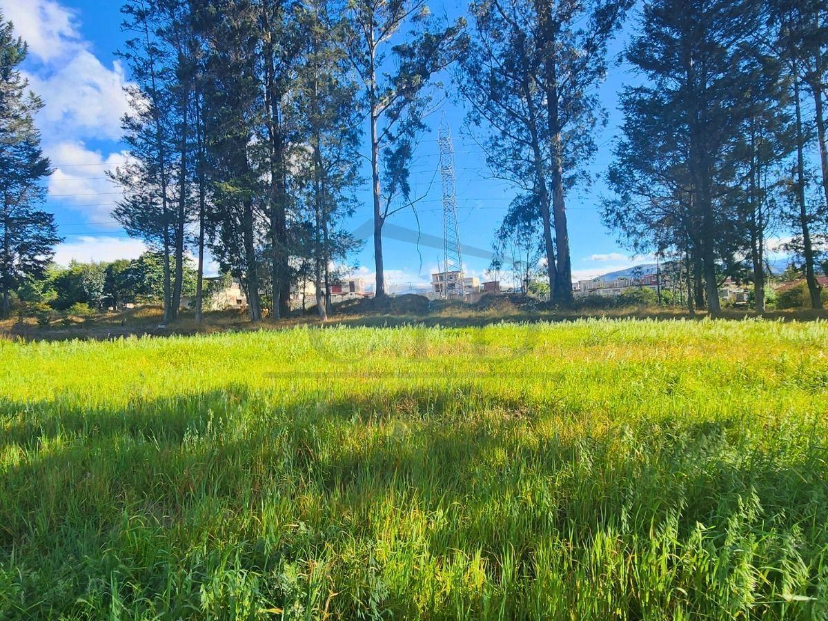 Venta Lote de Terreno de 1 Hectárea en Oyambarillo, Tababela — imagen 5
