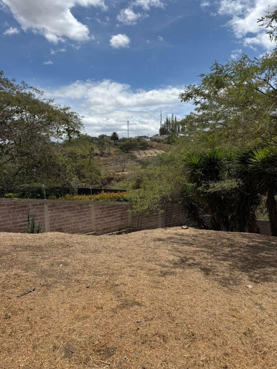 Venta Terreno Puembo Urbanización Sector Mangahuantag — imagen 6