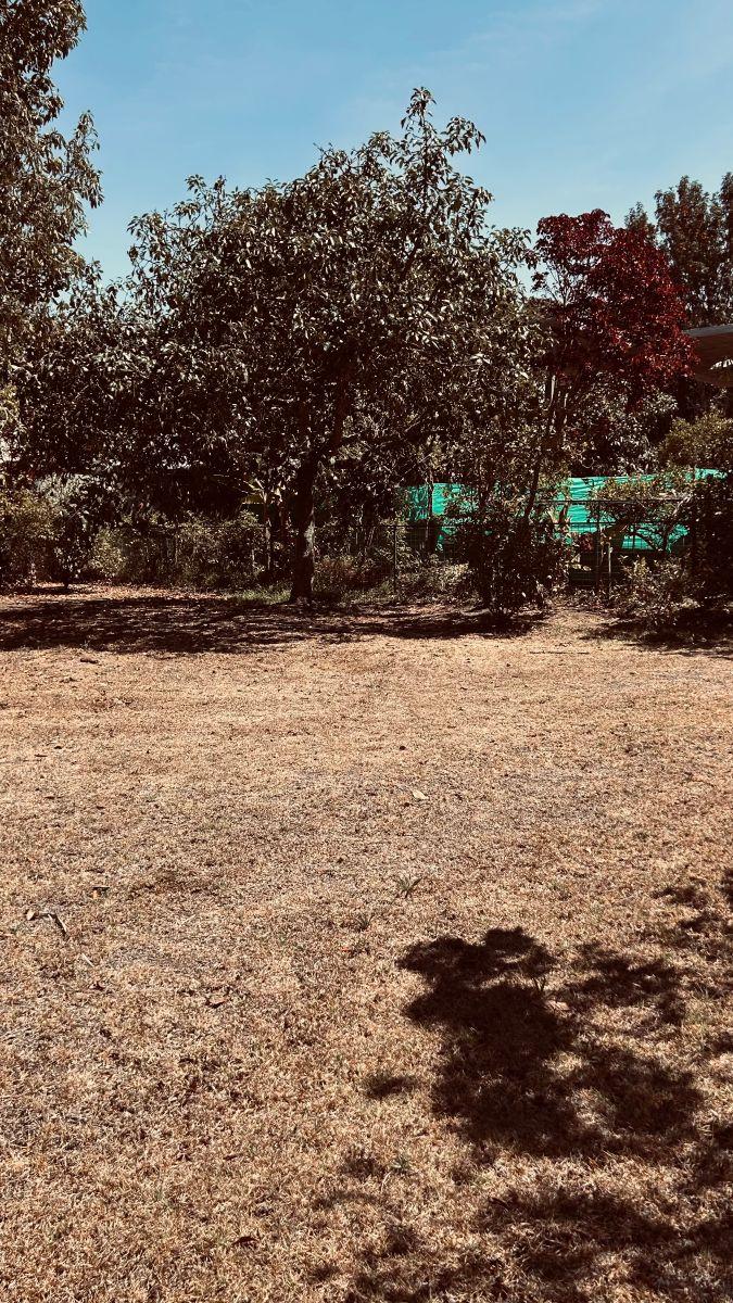 Venta Terreno Puembo Urbanización Sector Mangahuantag — imagen 5