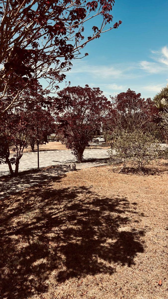 Venta Terreno Puembo Urbanización Sector Mangahuantag — imagen 4