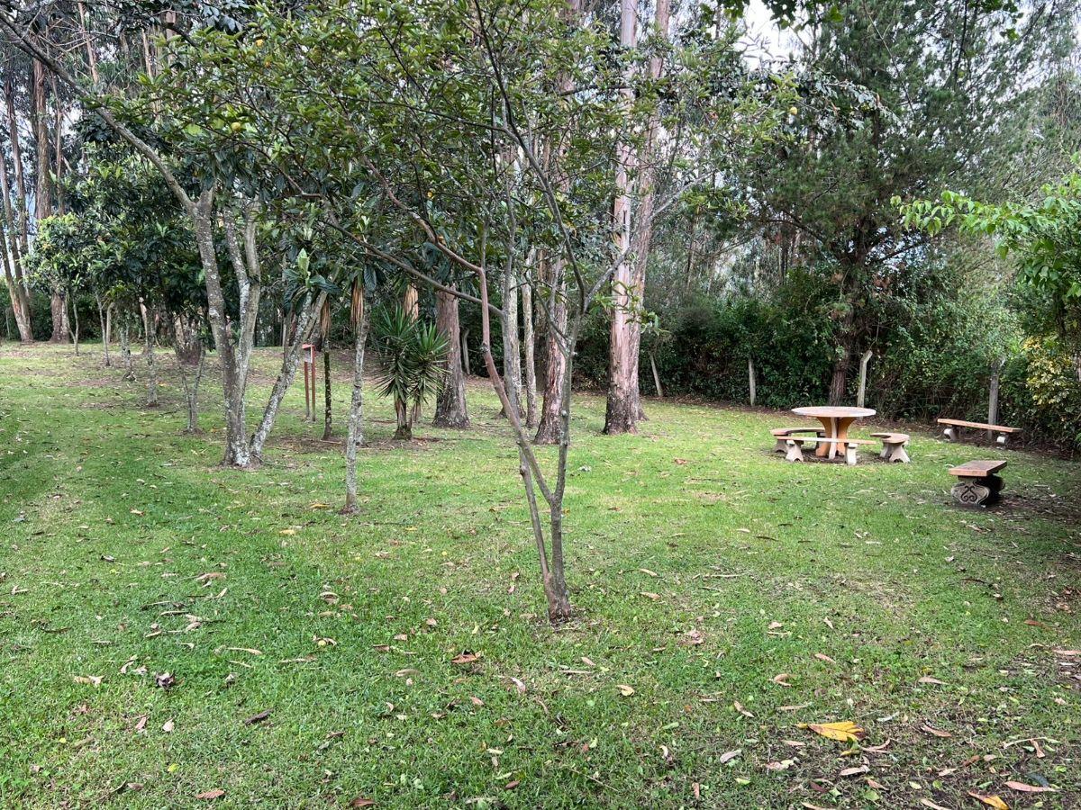 Vendo Terreno Dentro de Urbanización Sector Armenia — imagen 9