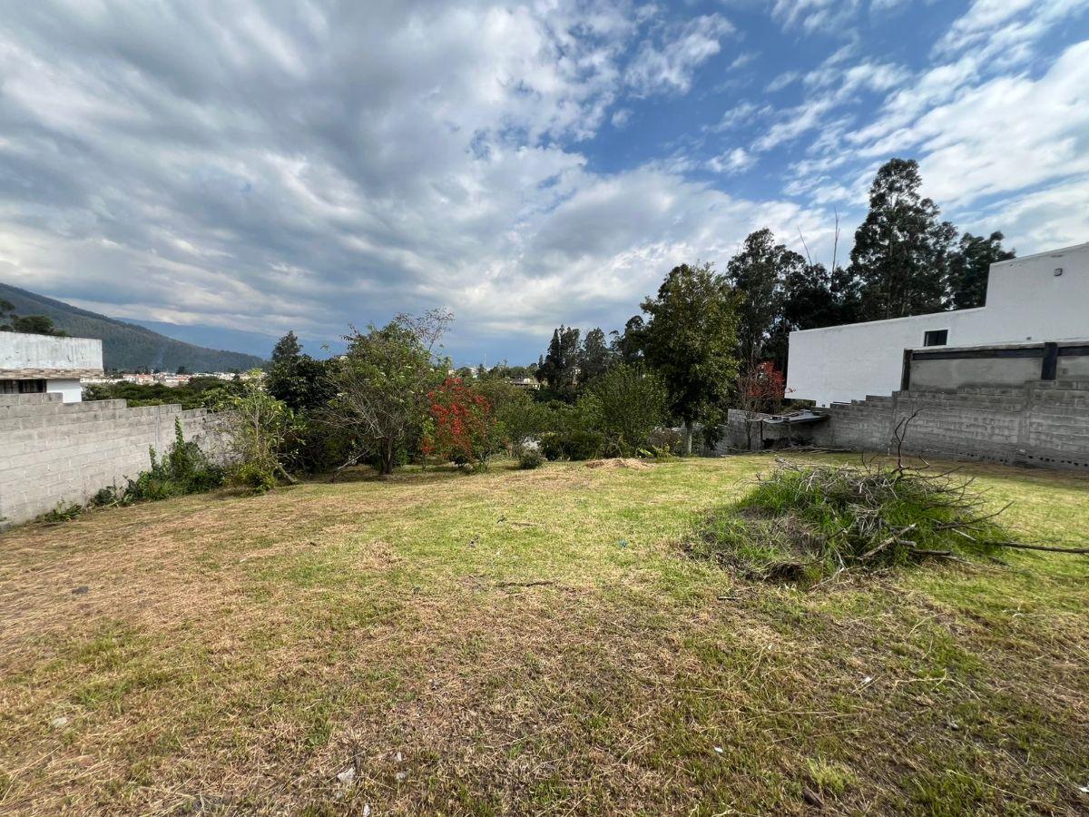 Vendo Terreno Dentro de Urbanización Sector Armenia — imagen 8