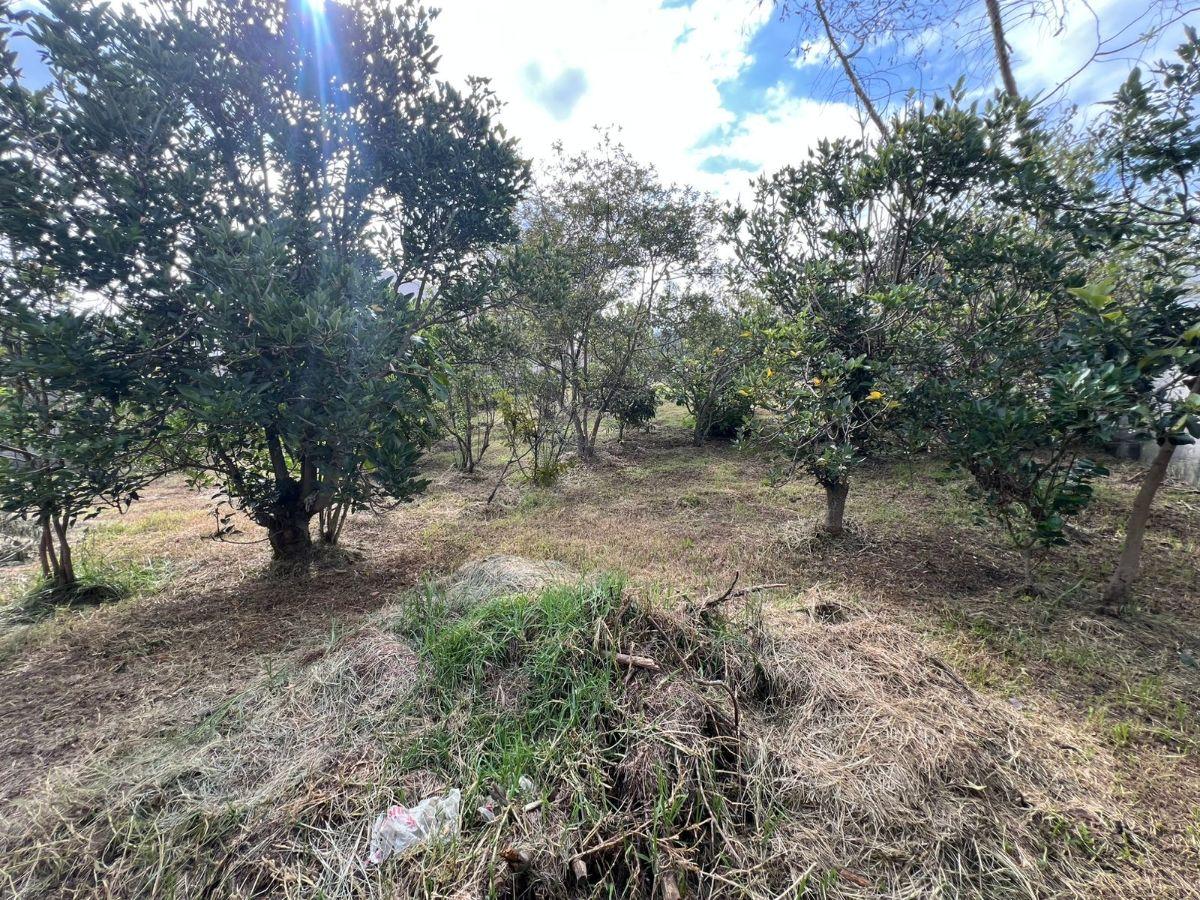 Vendo Terreno Dentro de Urbanización Sector Armenia — imagen 7