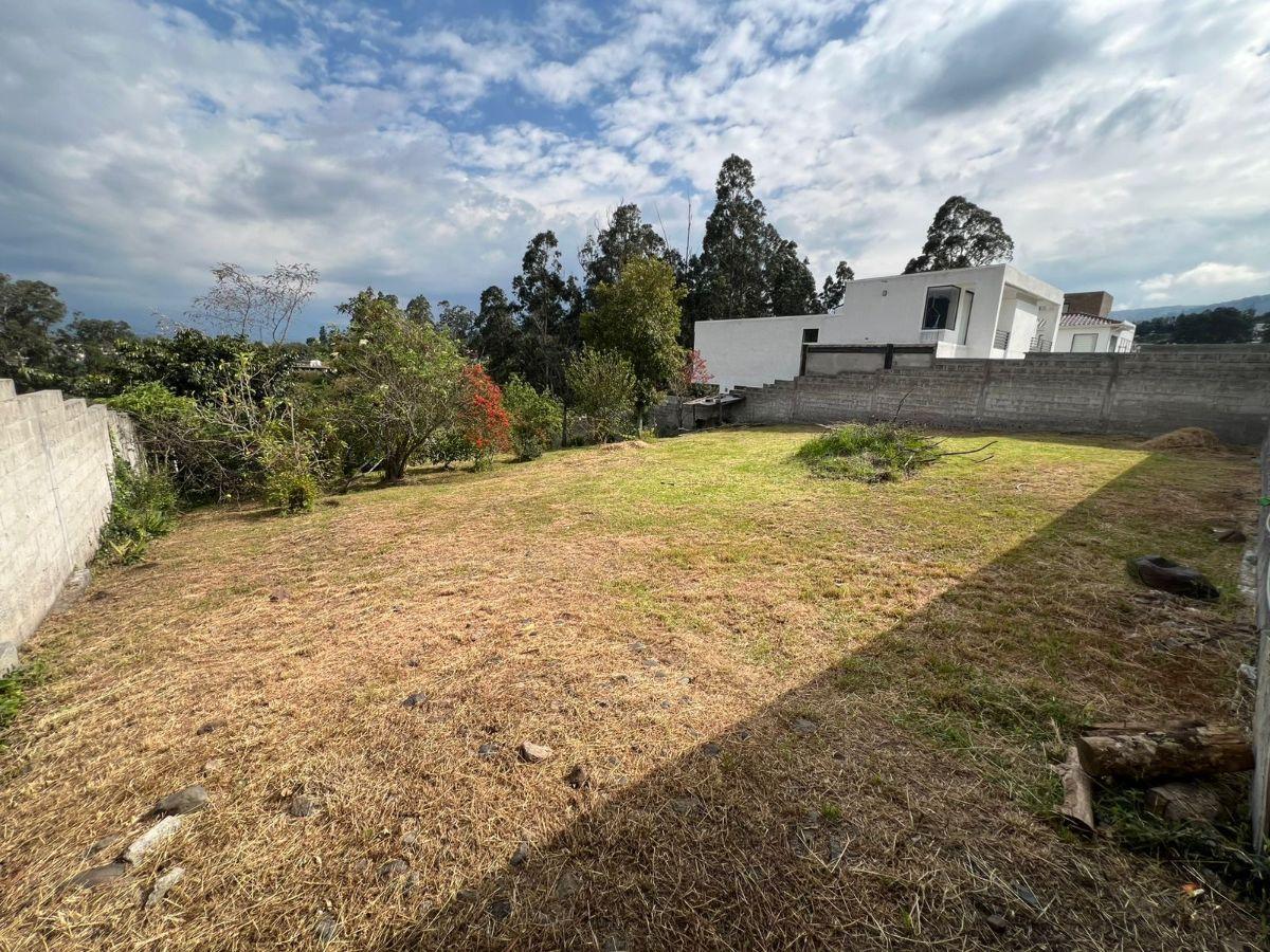 Vendo Terreno Dentro de Urbanización Sector Armenia — imagen 5