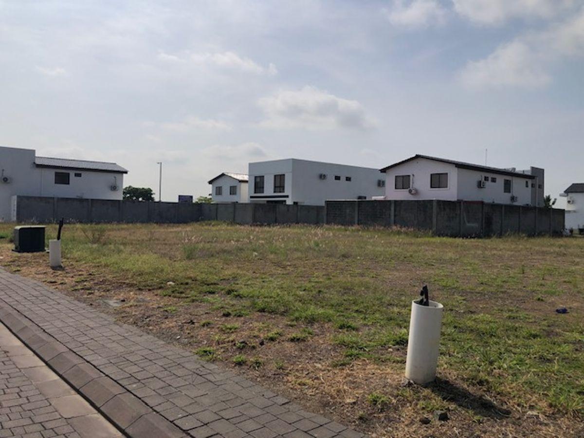Vendo Terreno Isla Celeste, Guayas — imagen 4