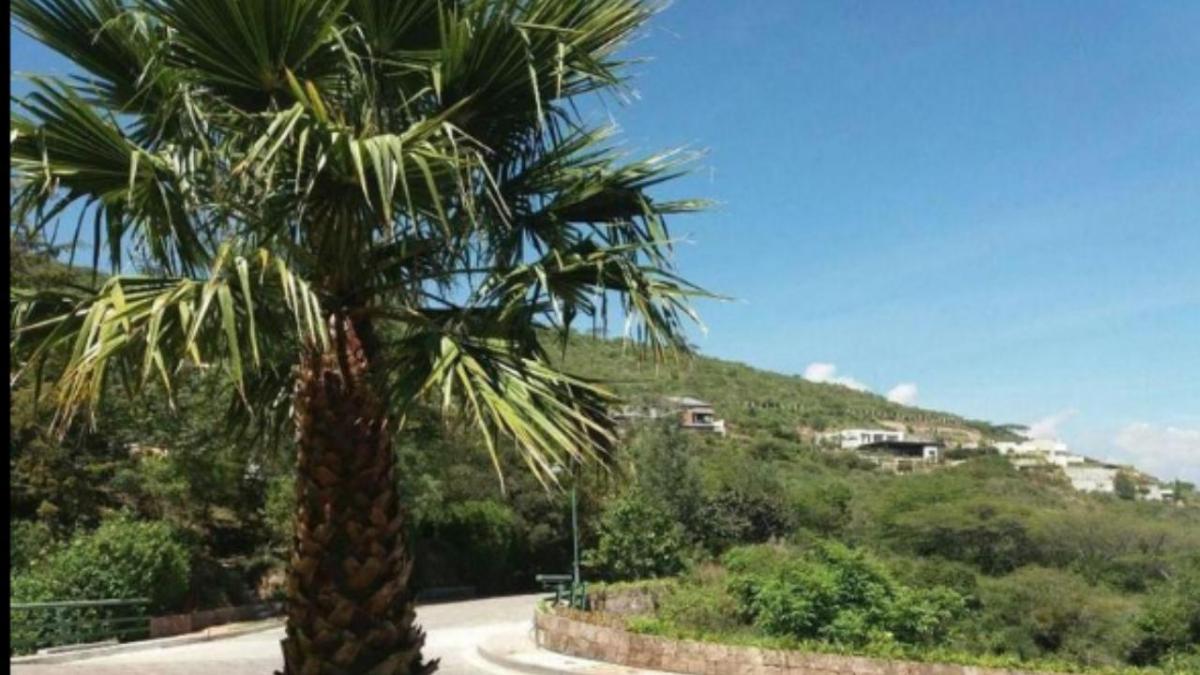 Cumbayá Pacho Salas, Urbanización Casa de Campo, Club Privado, 2.500 m² — imagen 10