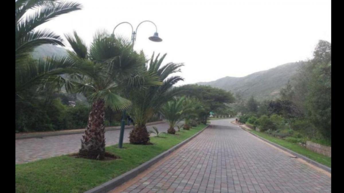 Cumbayá Pacho Salas, Urbanización Casa de Campo, Club Privado, 2.500 m² — imagen 7