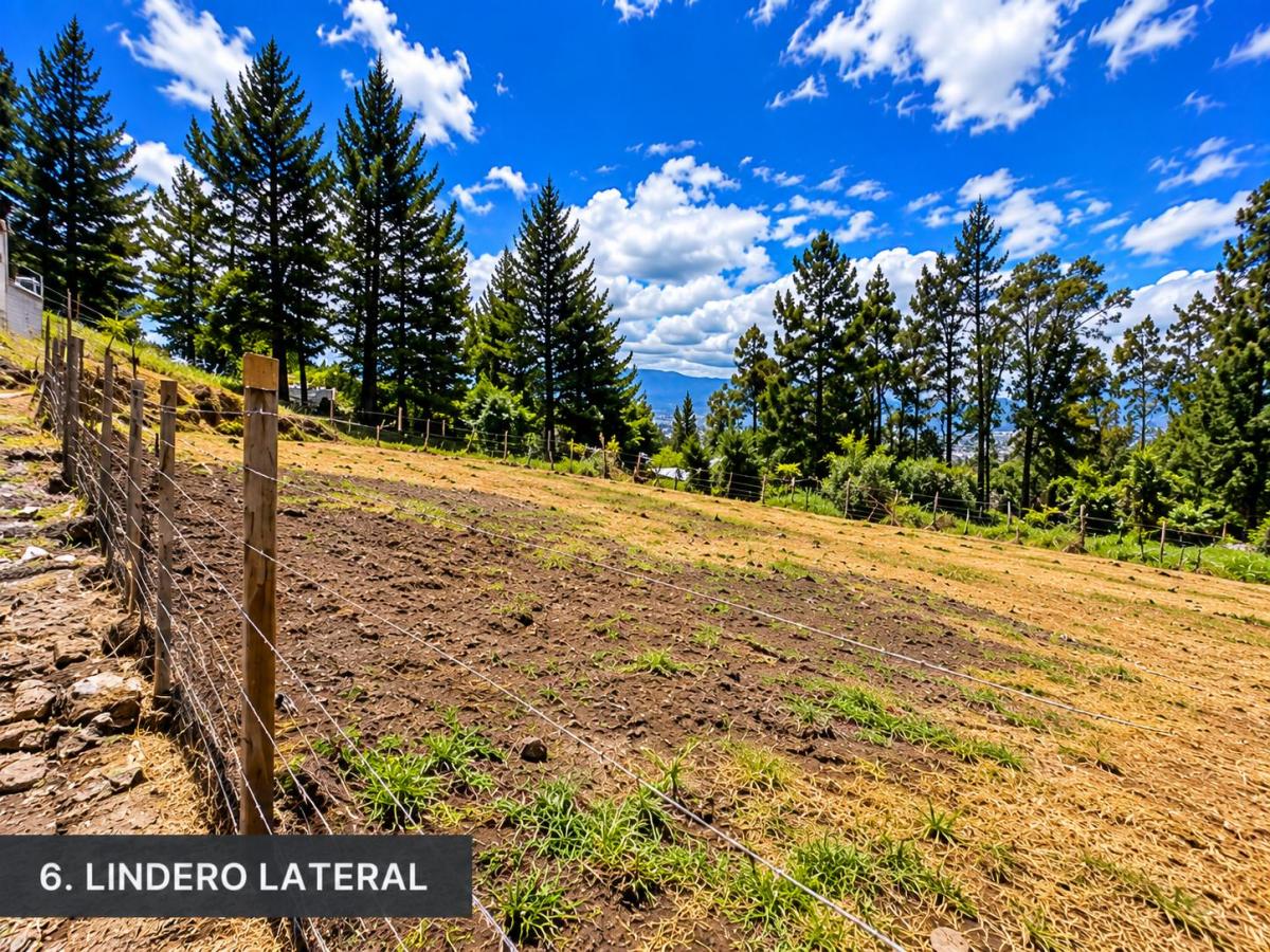 Terreno 592 m² en Cumbayá – San Francisco de Pinsha, Hermosa Vista — imagen 7