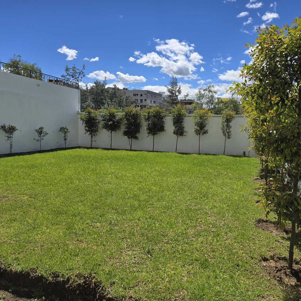 Departamento Venta — imagen 8
