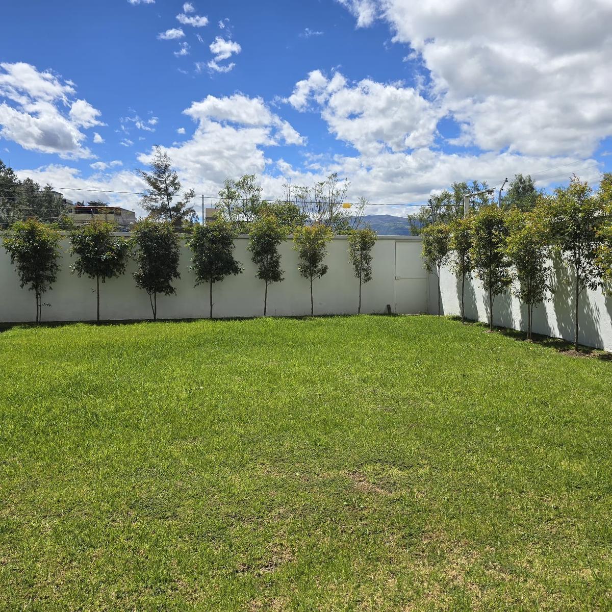 Departamento Venta — imagen 7