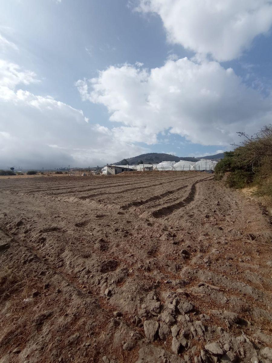 Terreno Plano en Venta 2.024 M²_ Malchinguí Barrio San Carlos. Provincia de Pichincha — imagen 10