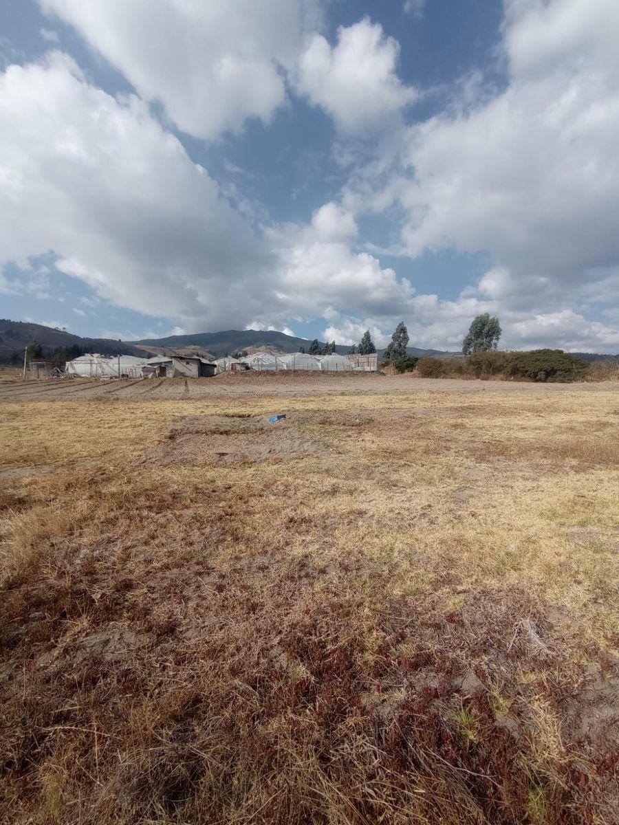 Terreno Plano en Venta 2.024 M²_ Malchinguí Barrio San Carlos. Provincia de Pichincha — imagen 7