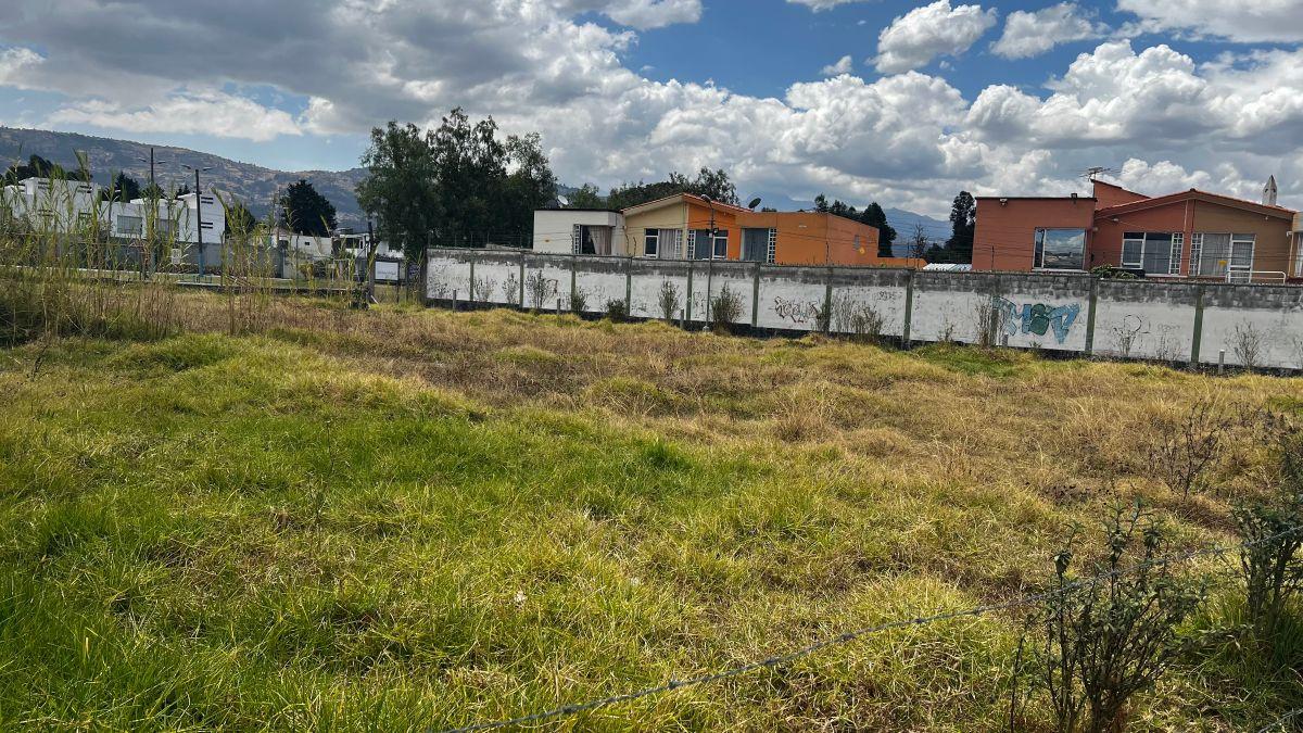 Lote Terreno en Capelo — imagen 9