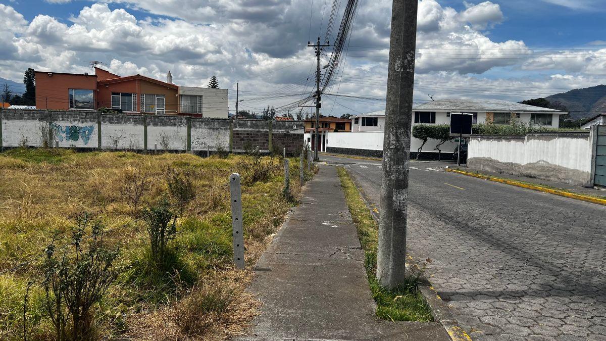 Lote Terreno en Capelo — imagen 8