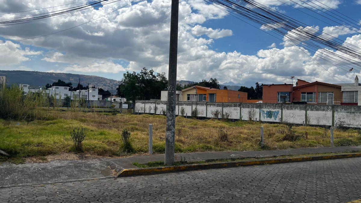 Lote Terreno en Capelo — imagen 7