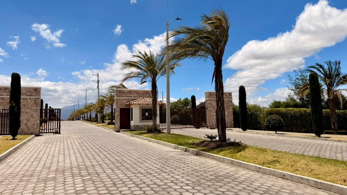 Terreno en Tabacundo — imagen 10