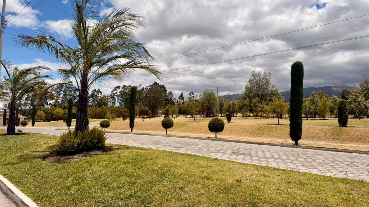Terreno en Tabacundo — imagen 9