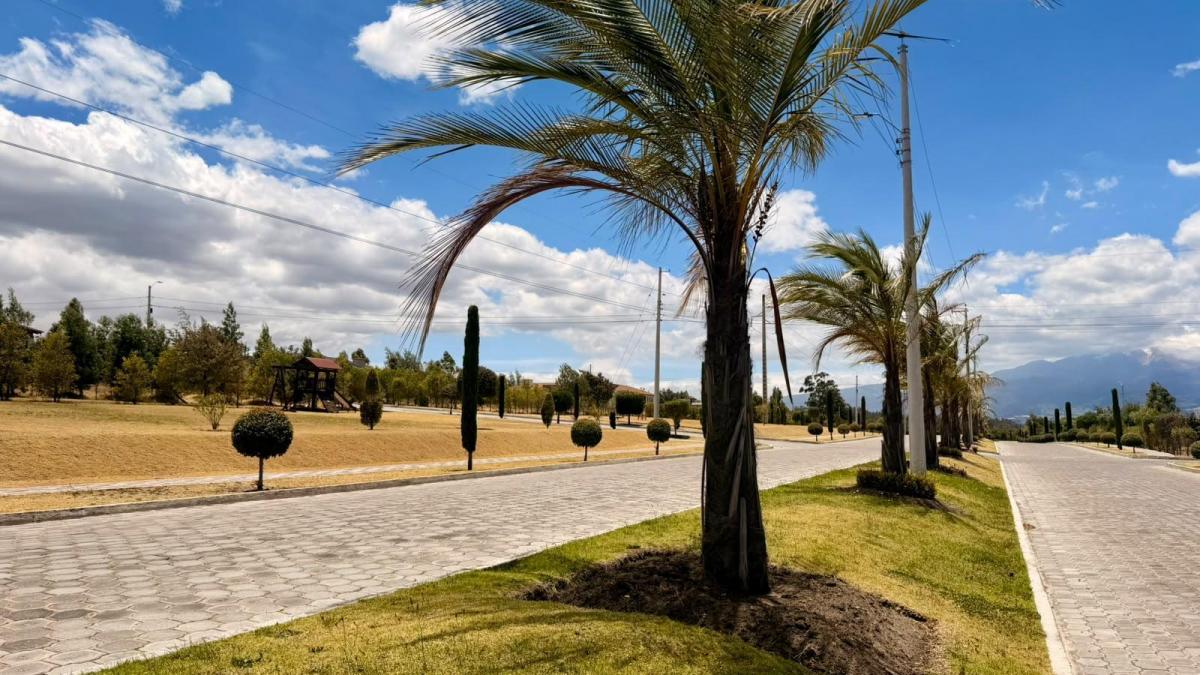 Terreno en Tabacundo — imagen 6