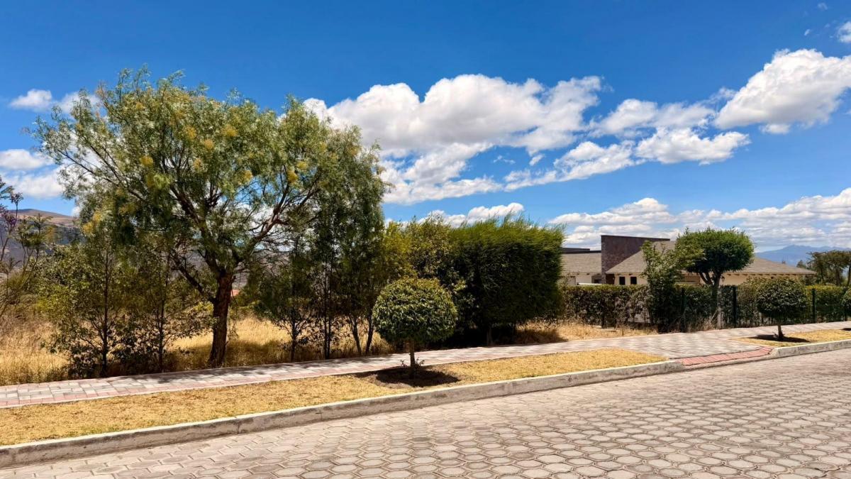 Terreno en Tabacundo — imagen 3