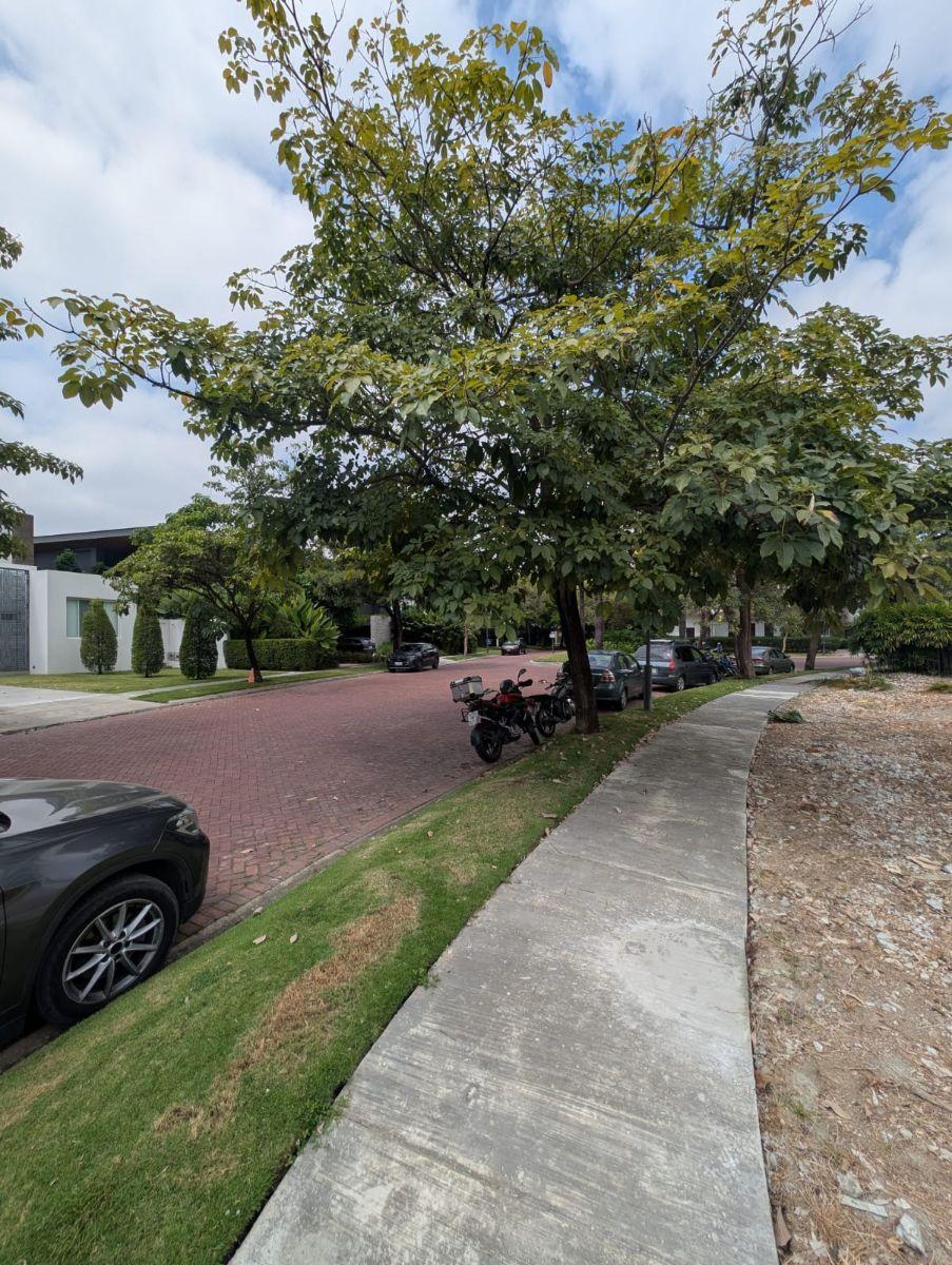 Mocoli, Hermoso Terreno con Vista Al Lago 1000 m². Guayas — imagen 8
