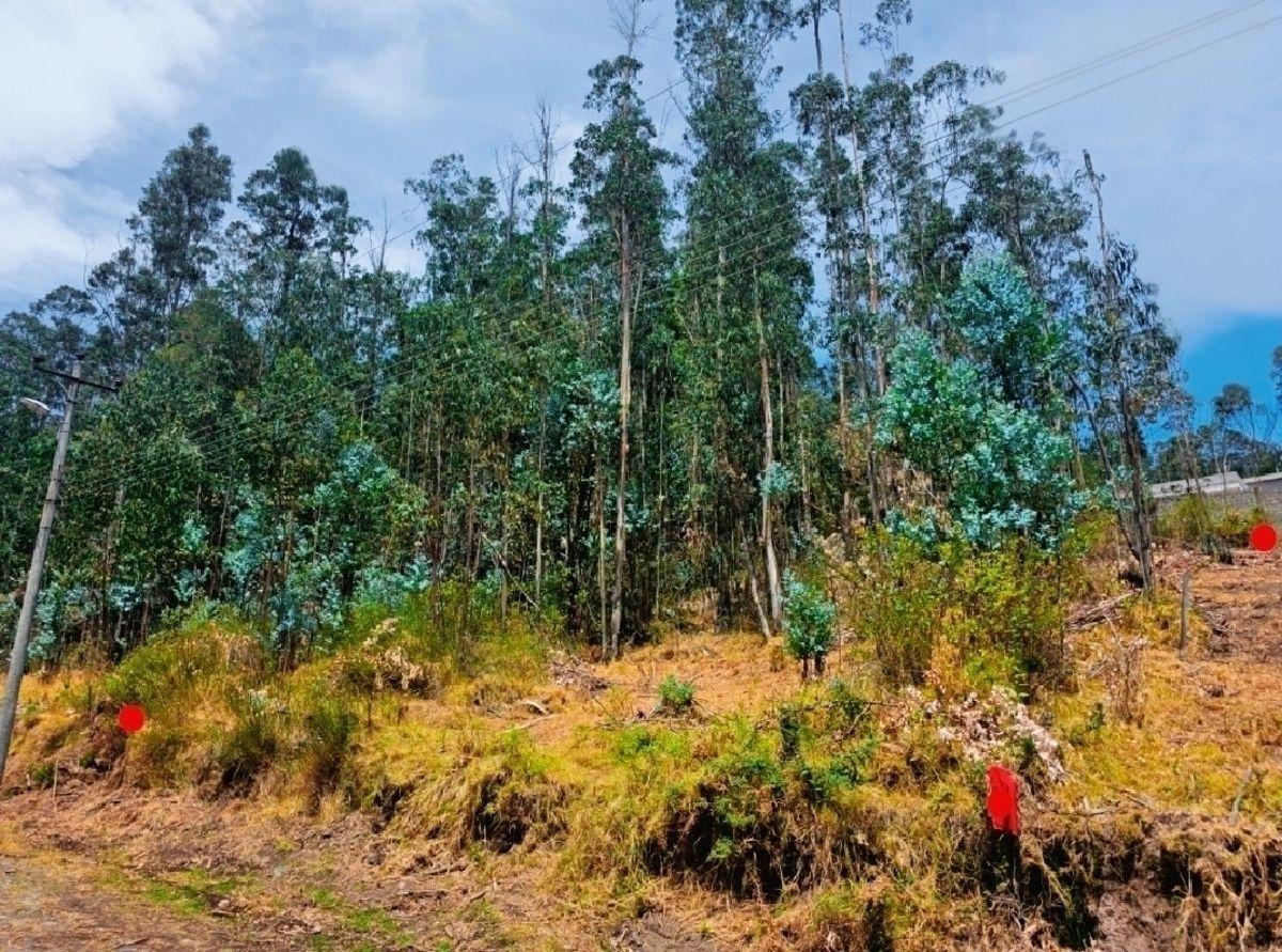 Terreno de 1.000 m² en Urbanización Residencial y Ecológica, Conocoto, Cerca de La Salle — imagen 7